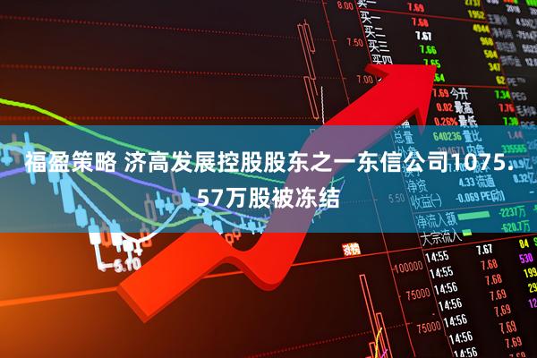 福盈策略 济高发展控股股东之一东信公司1075.57万股被冻结